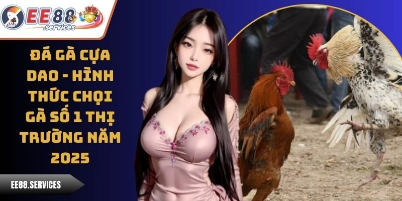 Đá Gà Cựa Dao - Hình Thức Chọi Gà Số 1 Thị Trường Năm 2025
