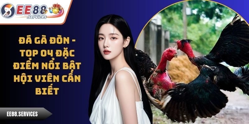 Đá Gà Đòn - Top 04 Đặc Điểm Nổi Bật Hội Viên Cần Biết