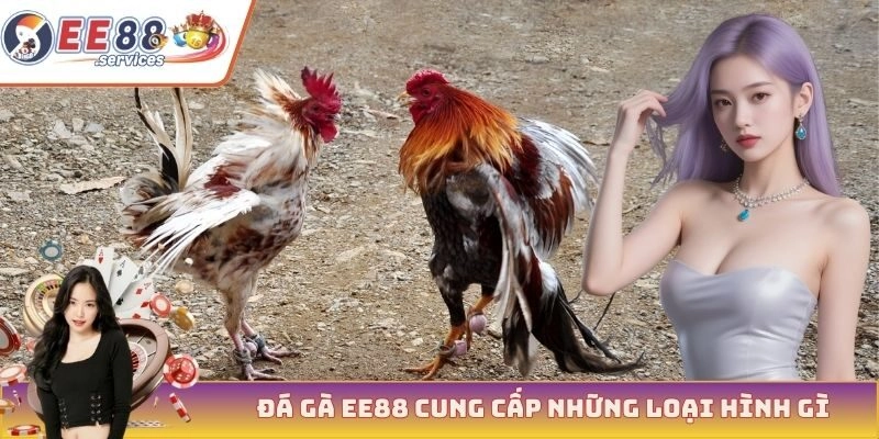 Đá gà EE88 cung cấp những loại hình gì?