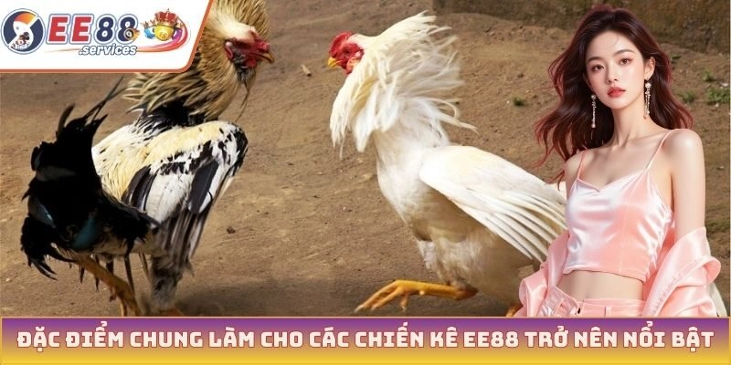 Đặc điểm chung làm cho các chiến kê EE88 trở nên nổi bật