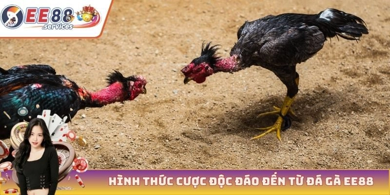 Hình thức cược độc đáo đến từ đá gà EE88