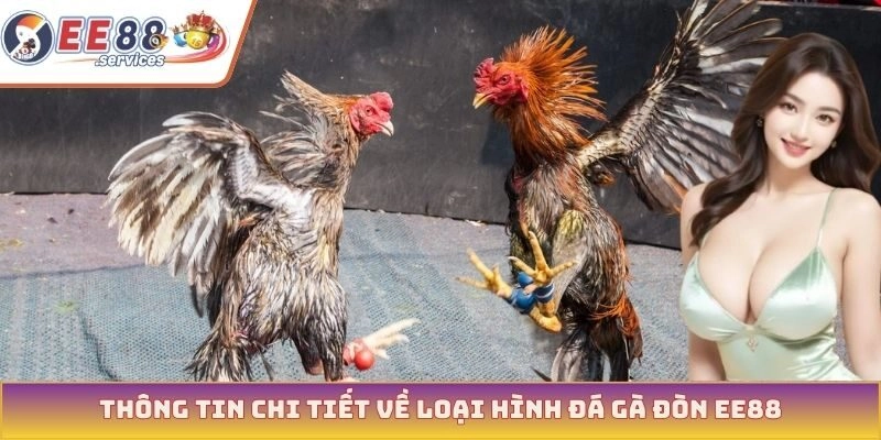 Thông tin chi tiết về loại hình đá gà đòn EE88