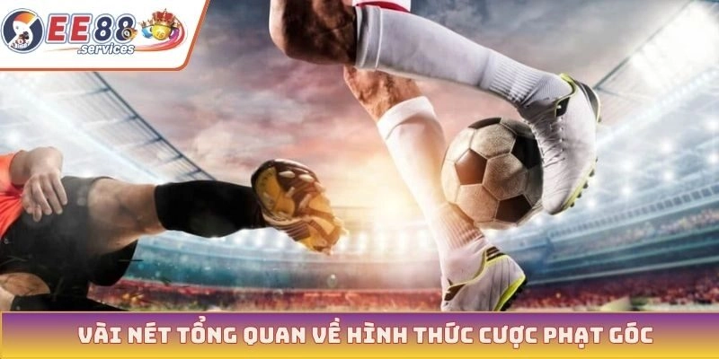Vài nét tổng quan về hình thức cược phạt góc